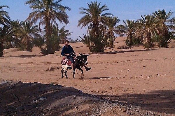 Jeremy riding a donkey