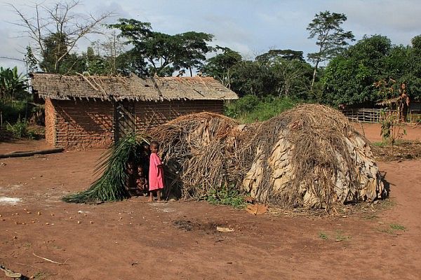 Bayaka houses