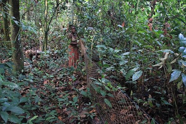 Hunting with nets