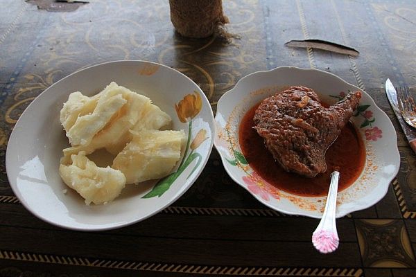 Pangolin - bitter bushmeat