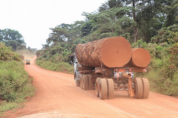 Logging trucks