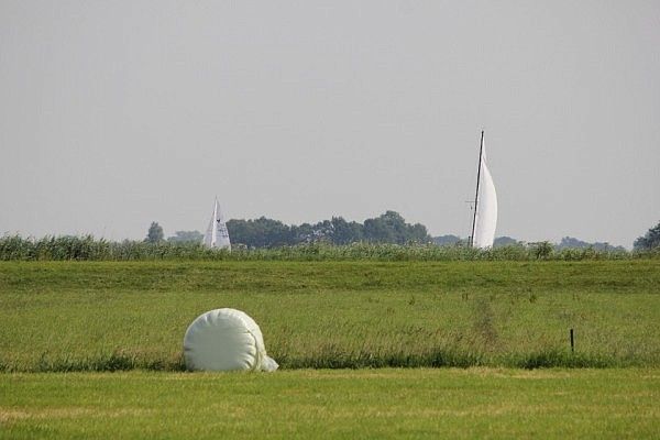 Sail boats in the field