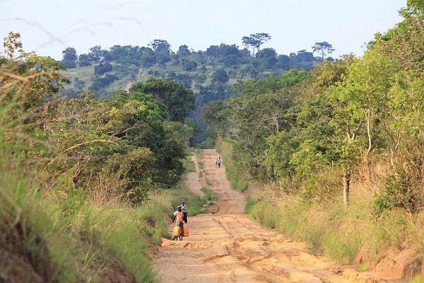 Congolese countryside