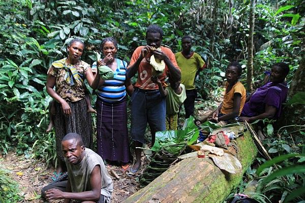 Lunch break in the rain forest