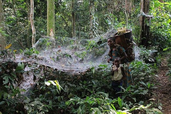 Giant spider web