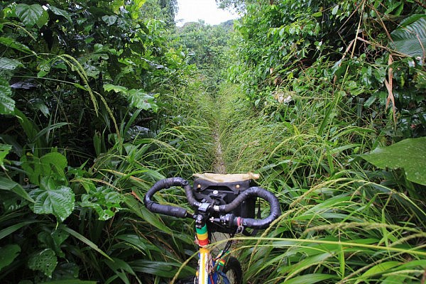 Narrow trail