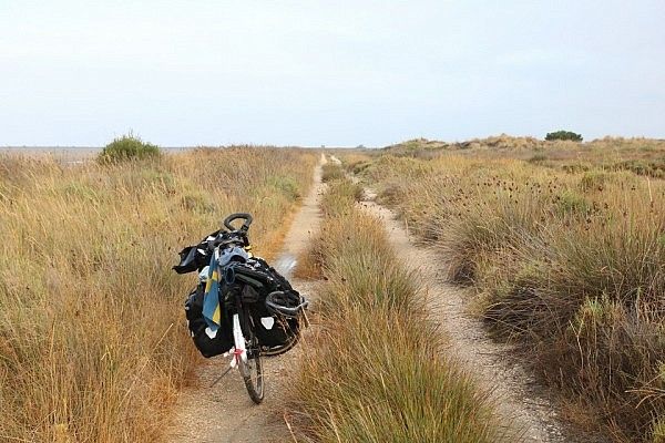 Small roads in Camargue