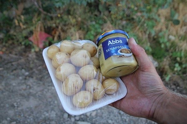 Swedish pickled herring