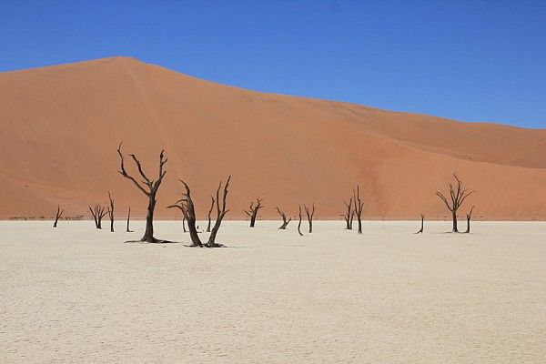 Deadvlei