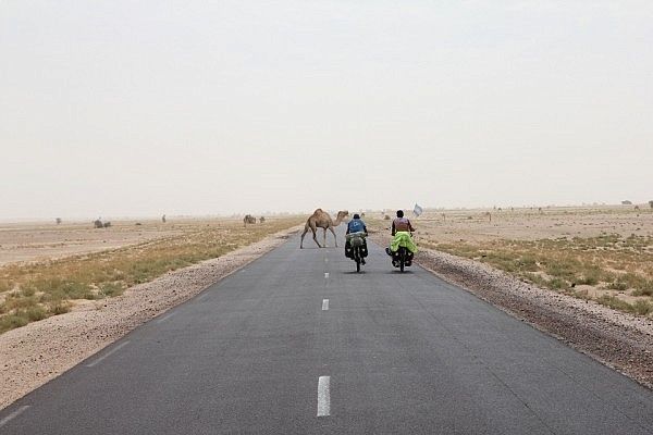 Cycling with camels