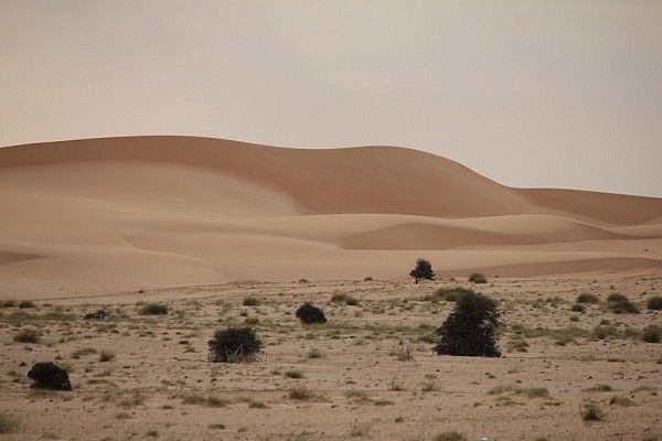 Sand dunes