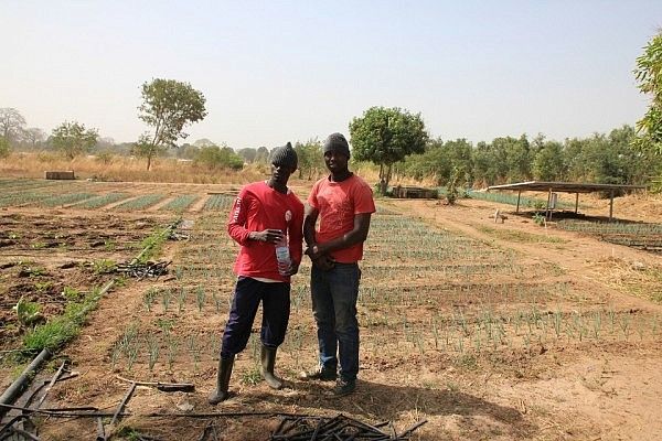 Aniss & Mohammed, proud onion farmers