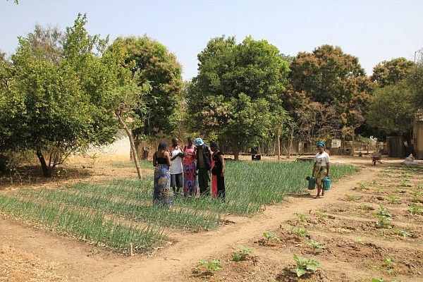 Njawara Agricultural Training Centre