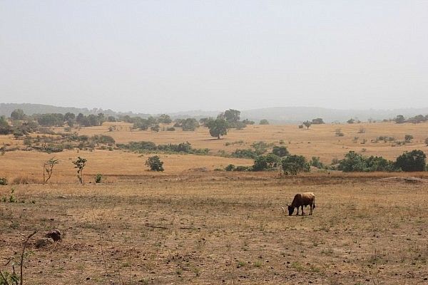 Fouta Djalon, Guinea