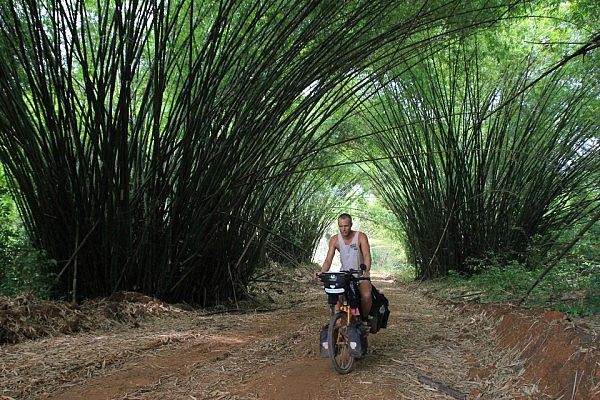 Bamboo tunnel