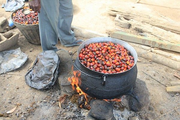 Boiling of oil palm fruit